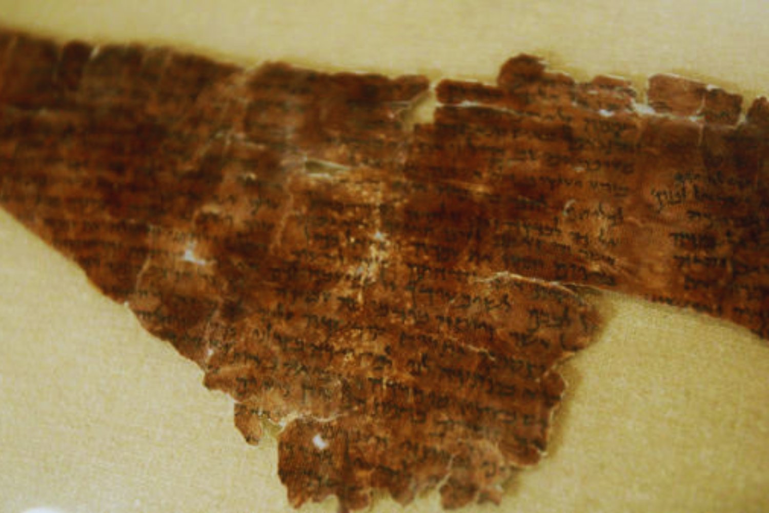 Una inteligencia artificial descubre un secreto milenario en los Manuscritos del Mar Muerto