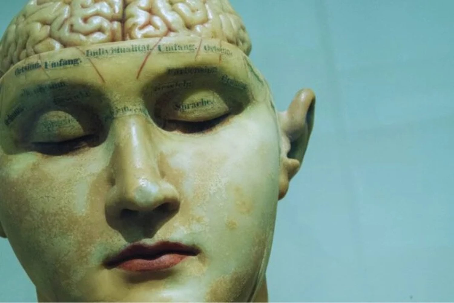 El reloj oculto del cerebro: la edad exacta en la que tu mente comienza a cambiar, según la ciencia