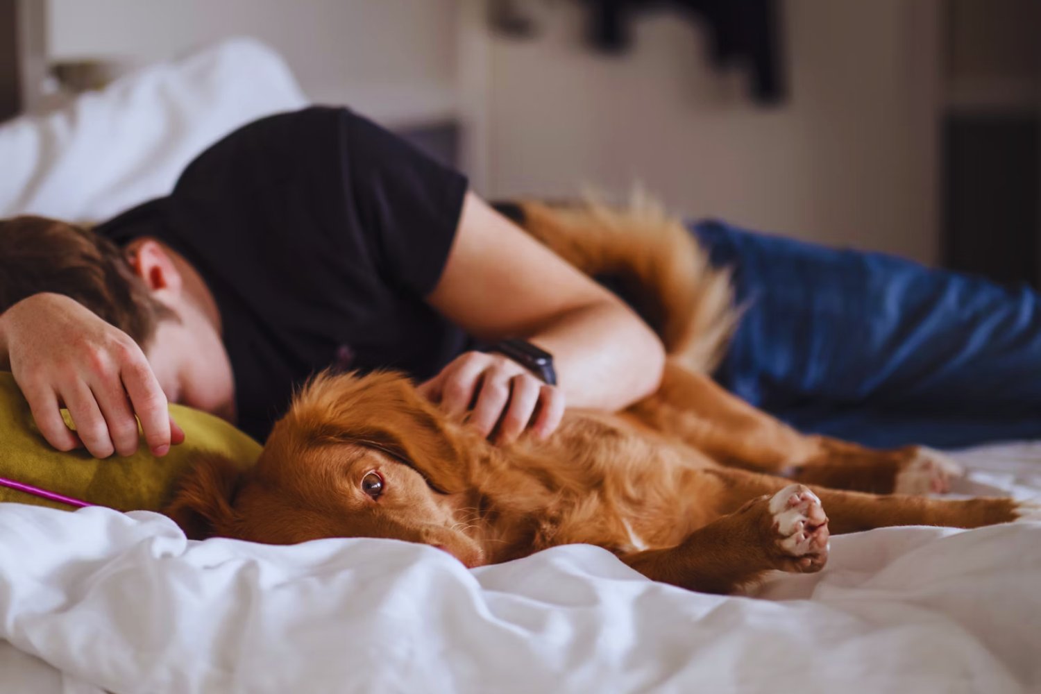 La sorprendente duración exacta de la siesta perfecta, revelada por la NASA
