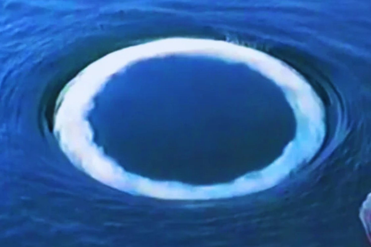 Extraños círculos en el océano intrigan a científicos: ¿una forma de comunicación desconocida?
