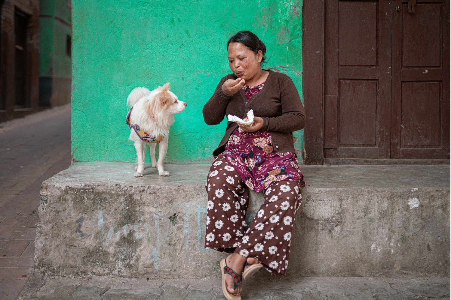 Los perros no llegaron con los primeros humanos: lo que revelan sus huellas en Sudamérica