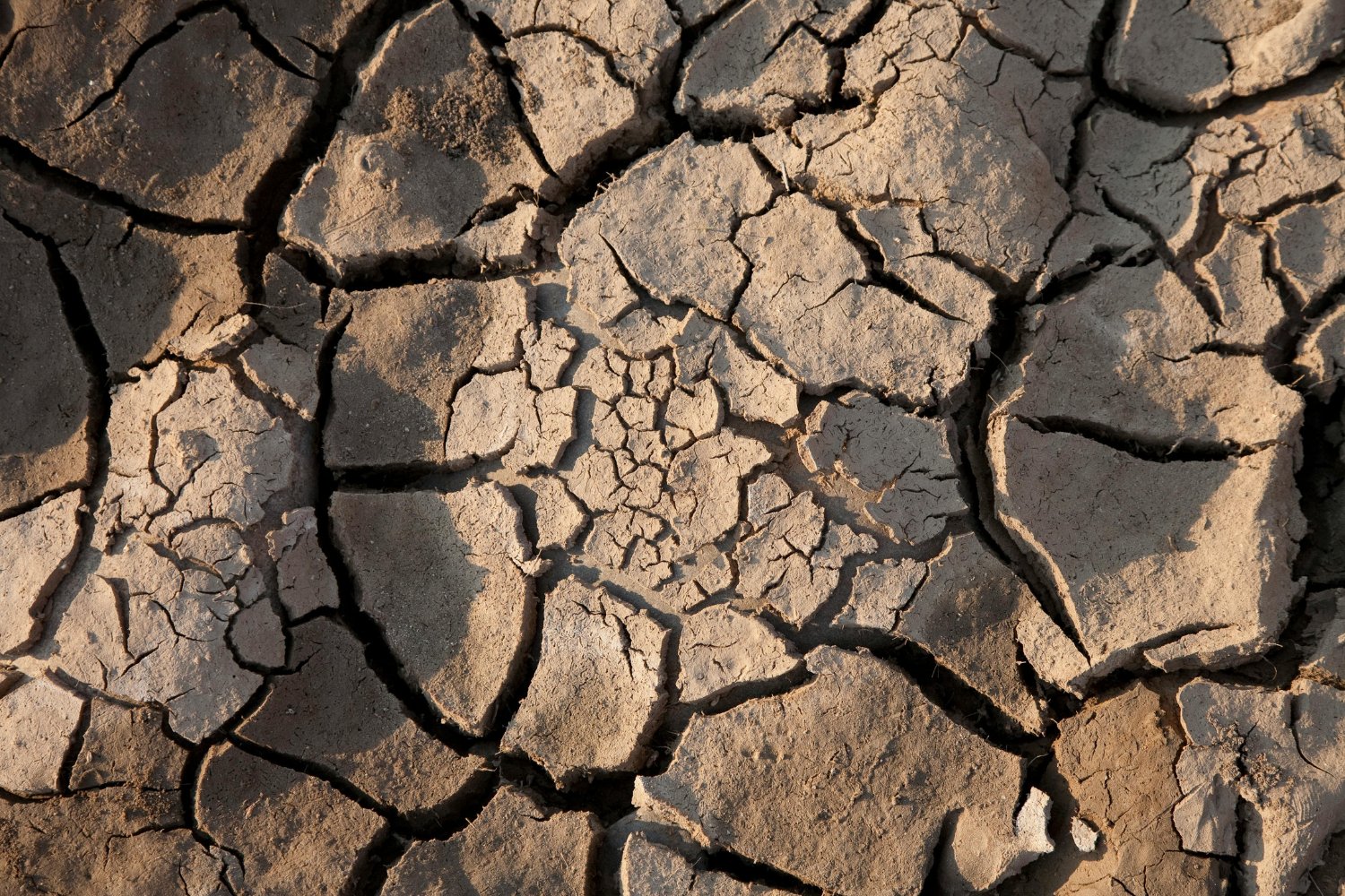 ¿Y si el aire fuera el nuevo ladrón de agua?