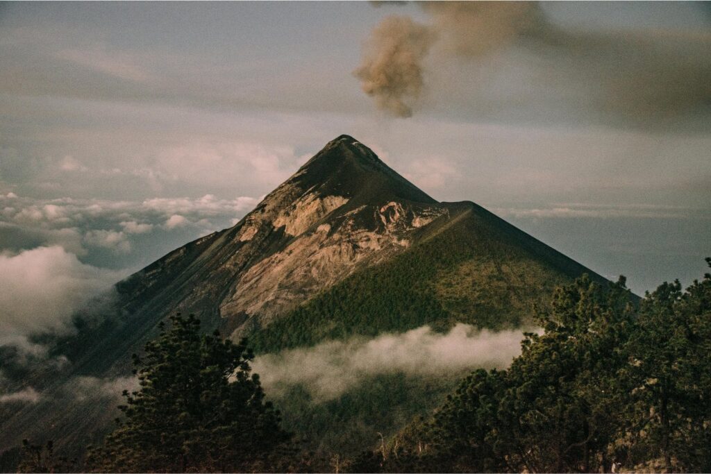 Los árboles tienen un secreto que podría salvar vidas antes de una erupción volcánica