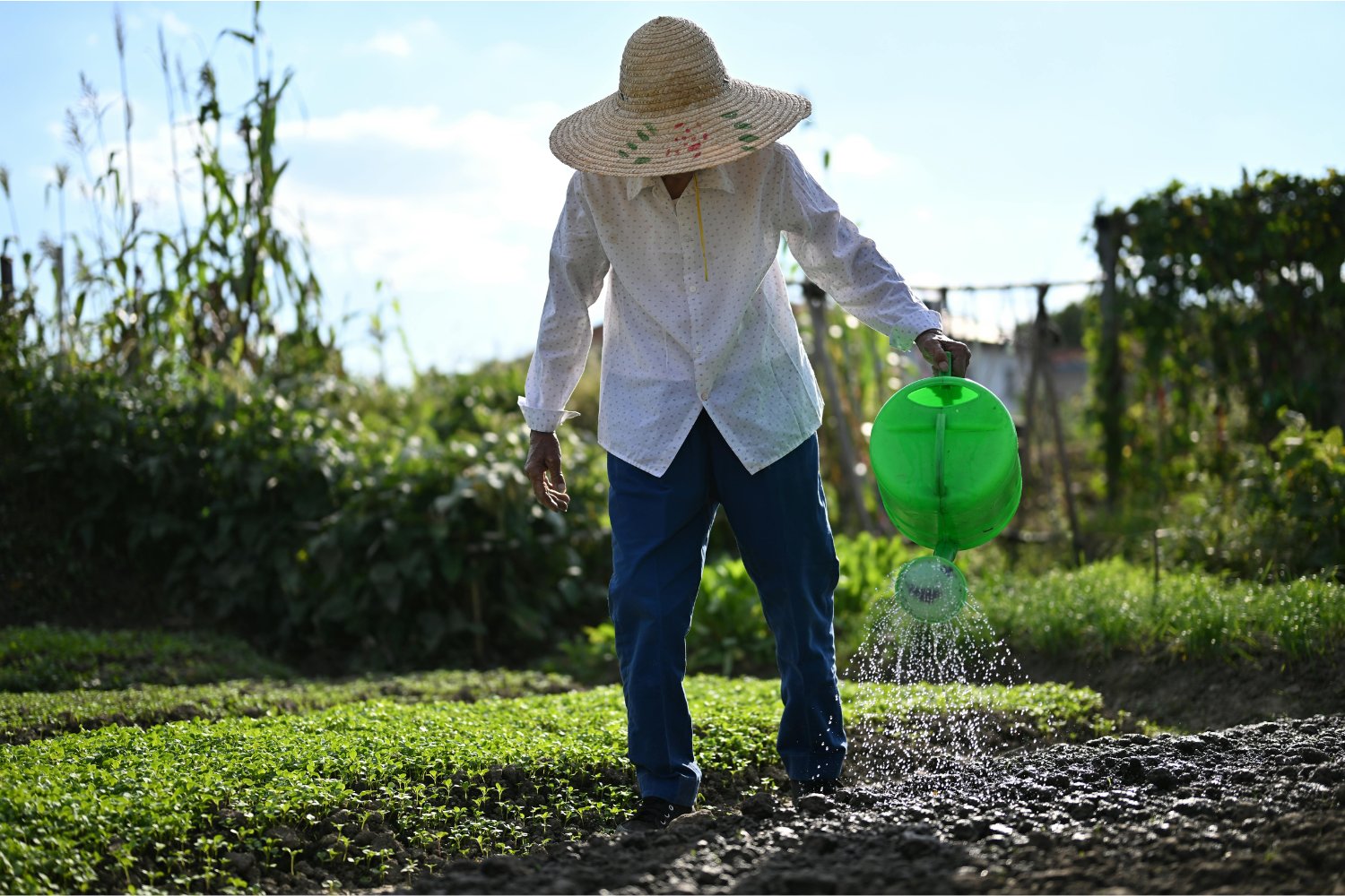 Cómo saber si un país cuida bien su entorno: el nuevo índice que podría cambiarlo todo