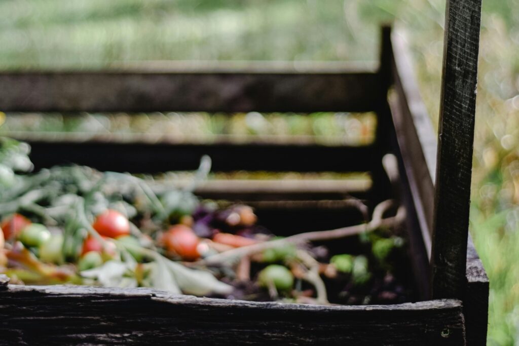 Cómo un sencillo truco de cocina puede transformar tus plantas y tu huerto sin gastar un euro