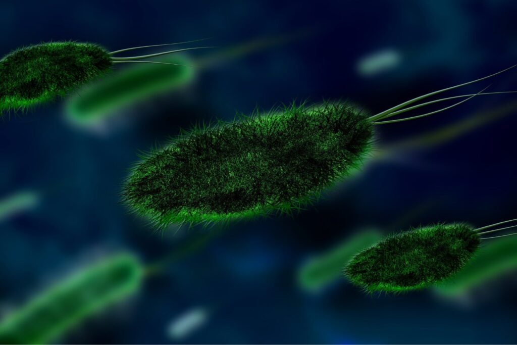 El misterio oculto bajo las olas: descubren entidades marinas que reescriben la historia de la vida