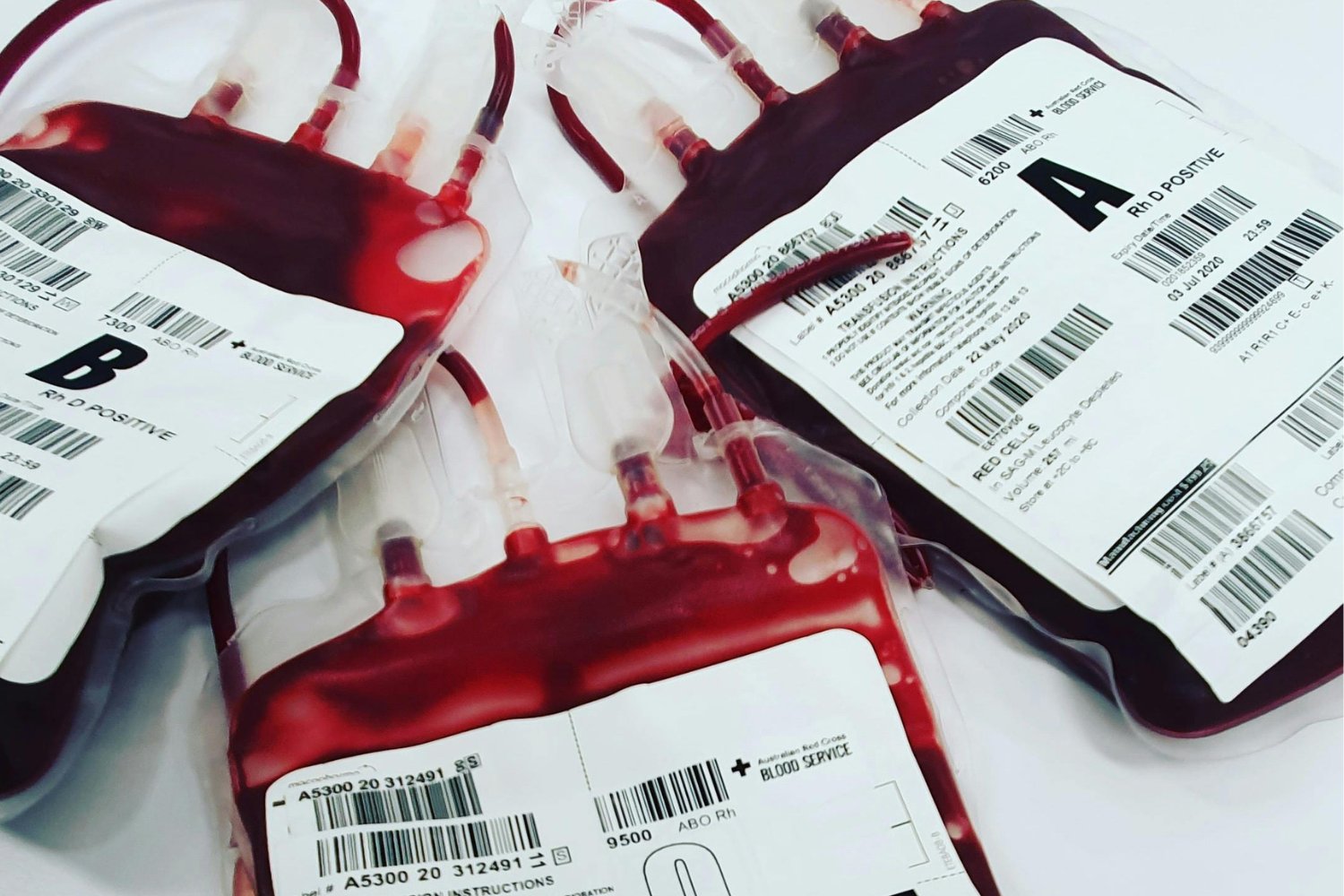 Donar sangre: el gesto invisible que puede cambiar el destino de cuatro vidas