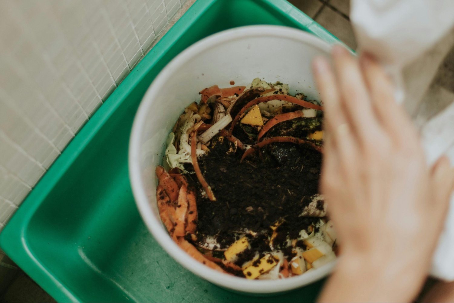 Cómo un sencillo truco de cocina puede transformar tus plantas y tu huerto sin gastar un euro