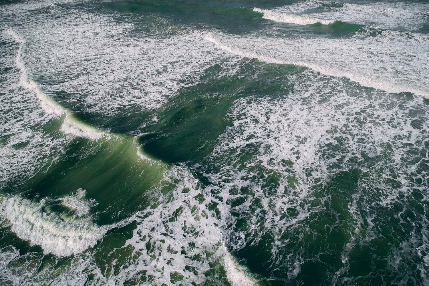 El misterio oculto bajo las olas: descubren entidades marinas que reescriben la historia de la vida