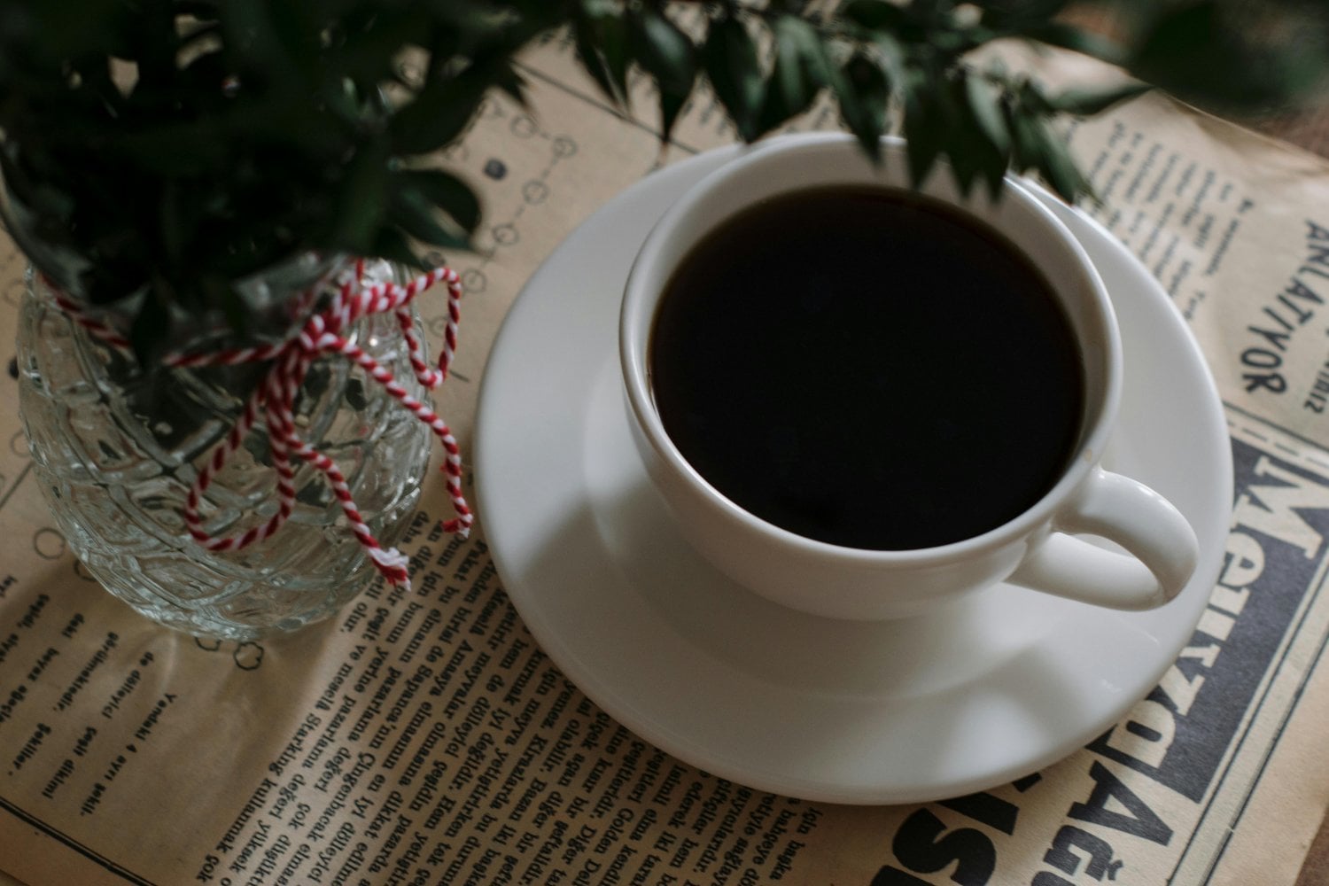 ¿Y si la clave para vivir más estuviera en tu taza de café? La ciencia lo pone sobre la mesa