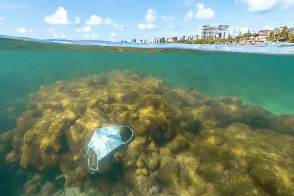 Los secretos del océano que el 30 % no logra proteger