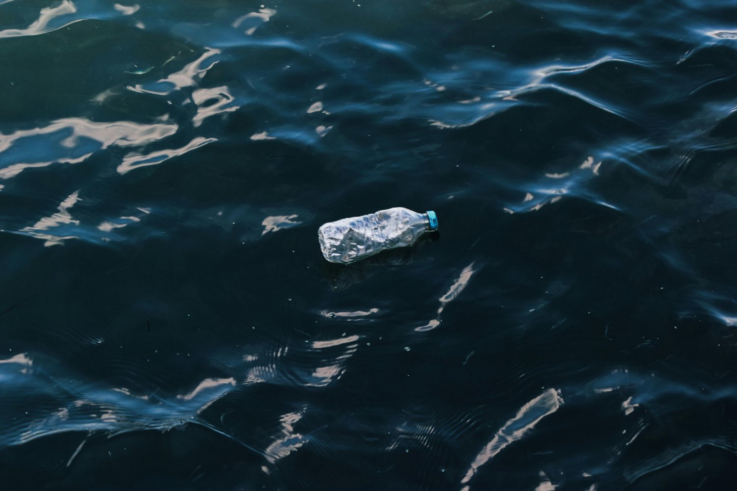 Los secretos del océano que el 30&nbsp;% no logra proteger