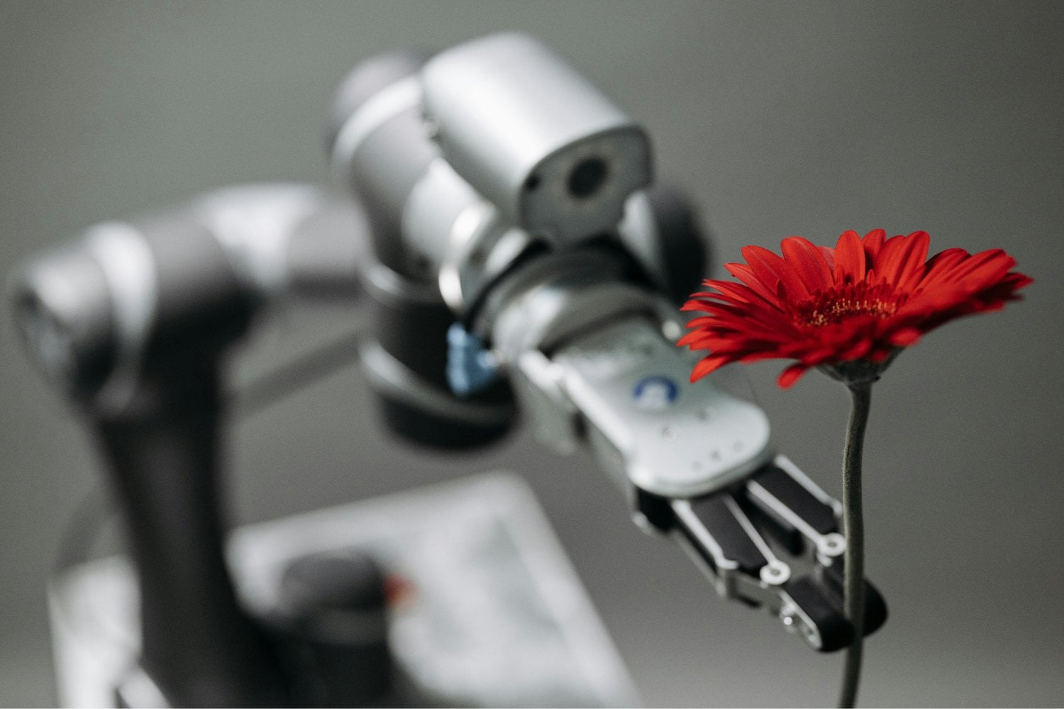 La flor que la inteligencia artificial no puede comprender