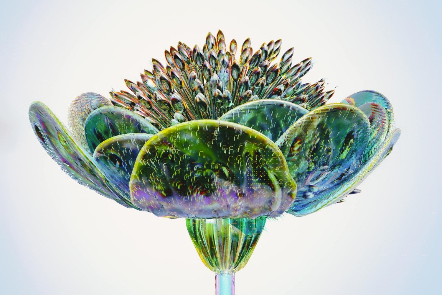 La flor que la inteligencia artificial no puede comprender
