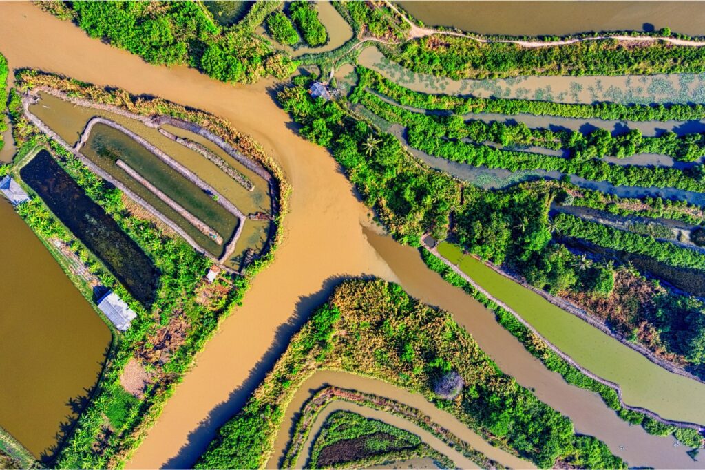 Los ríos esconden un secreto inquietante: lo que están devolviendo al aire podría sorprenderte