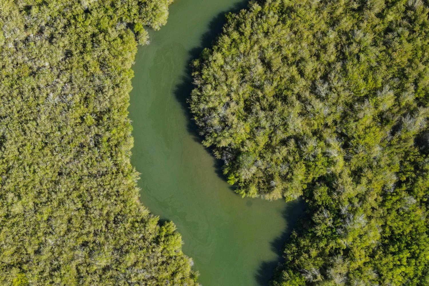 Los ríos esconden un secreto inquietante: lo que están devolviendo al aire podría sorprenderte