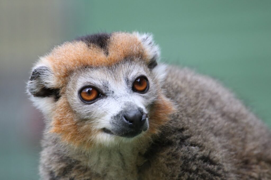 La gigantesca base secreta que revela cómo cambia la vida en la Tierra