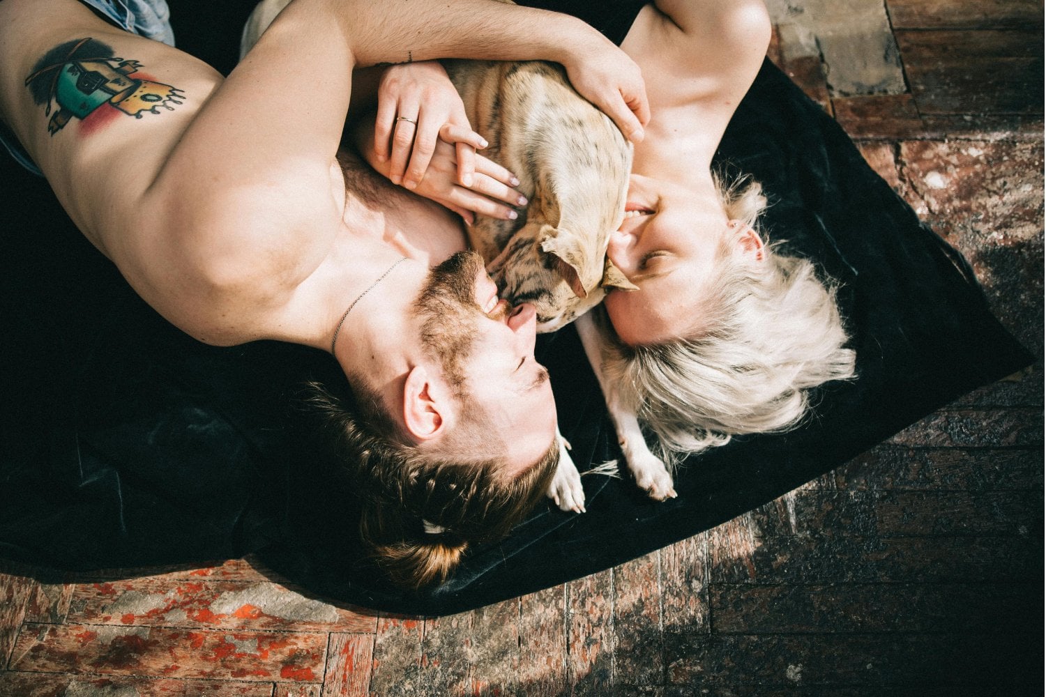 ¿Por qué cada vez más personas eligen perros en lugar de hijos? La tendencia que crece en los países con menos nacimientos