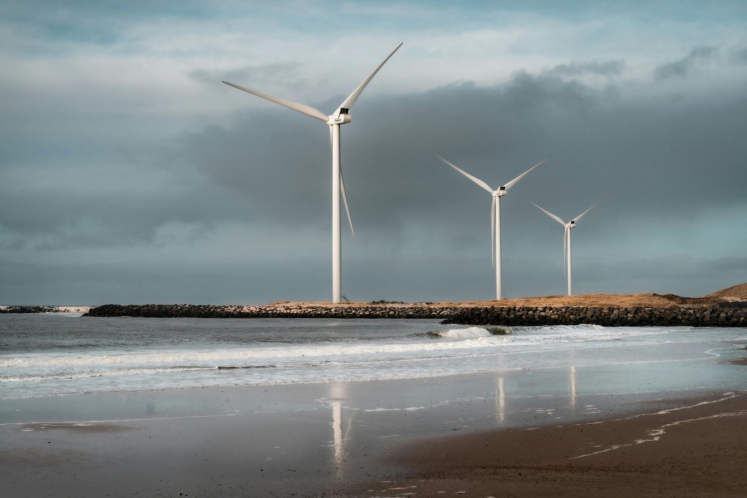 ¿Renovables o naturaleza? El dilema oculto bajo las aguas del Mediterráneo