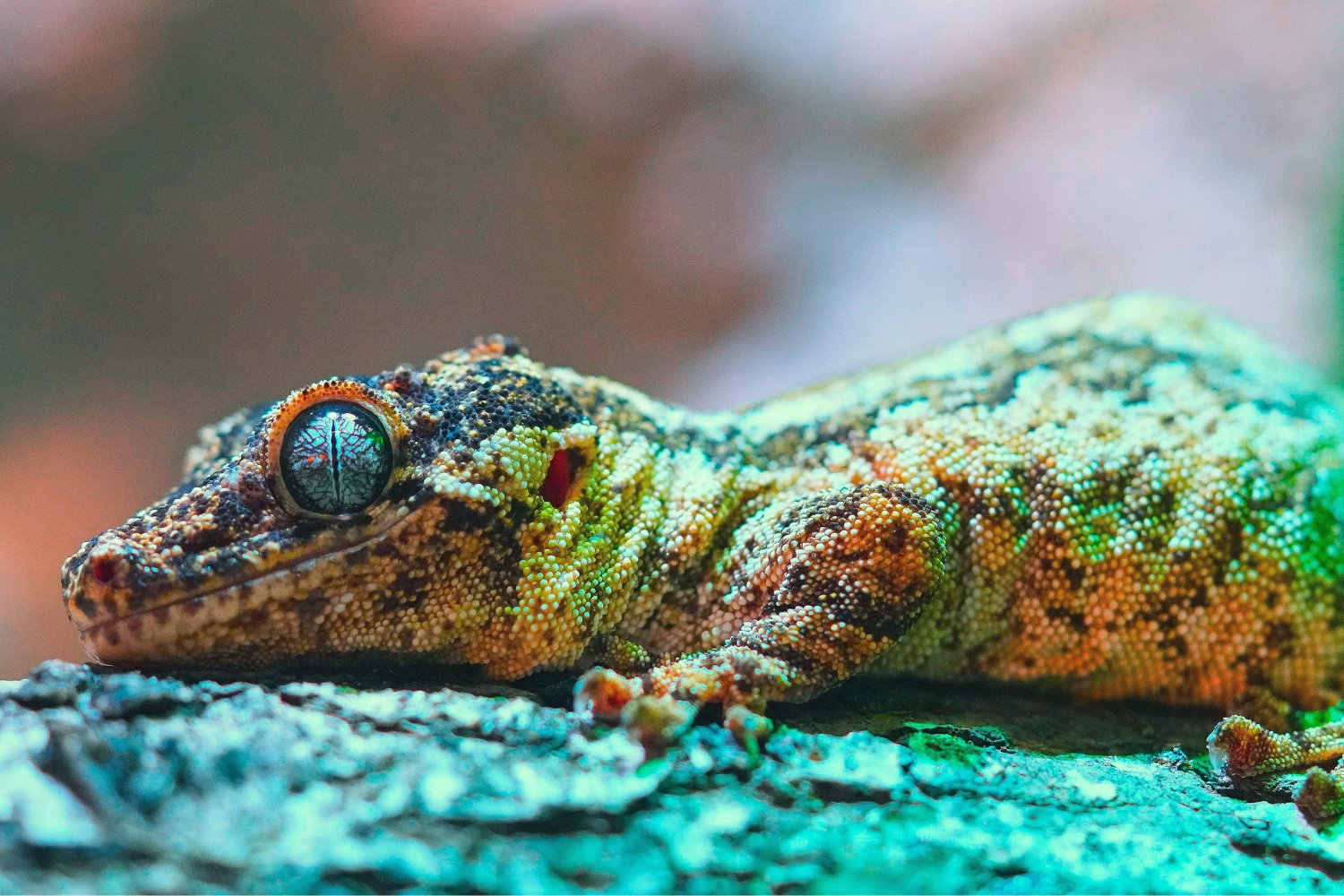 La gigantesca base secreta que revela cómo cambia la vida en la Tierra