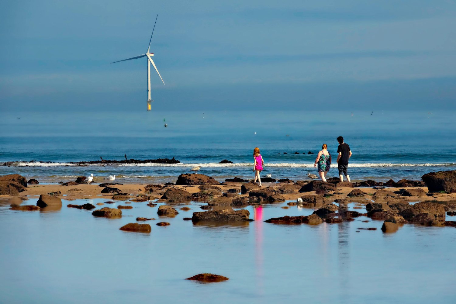 ¿Renovables o naturaleza? El dilema oculto bajo las aguas del Mediterráneo