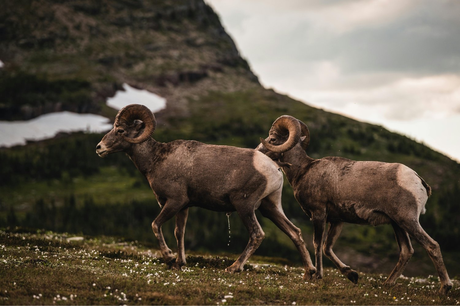 No es tan absurda como parece: la ciencia curiosa que acaba salvando vidas