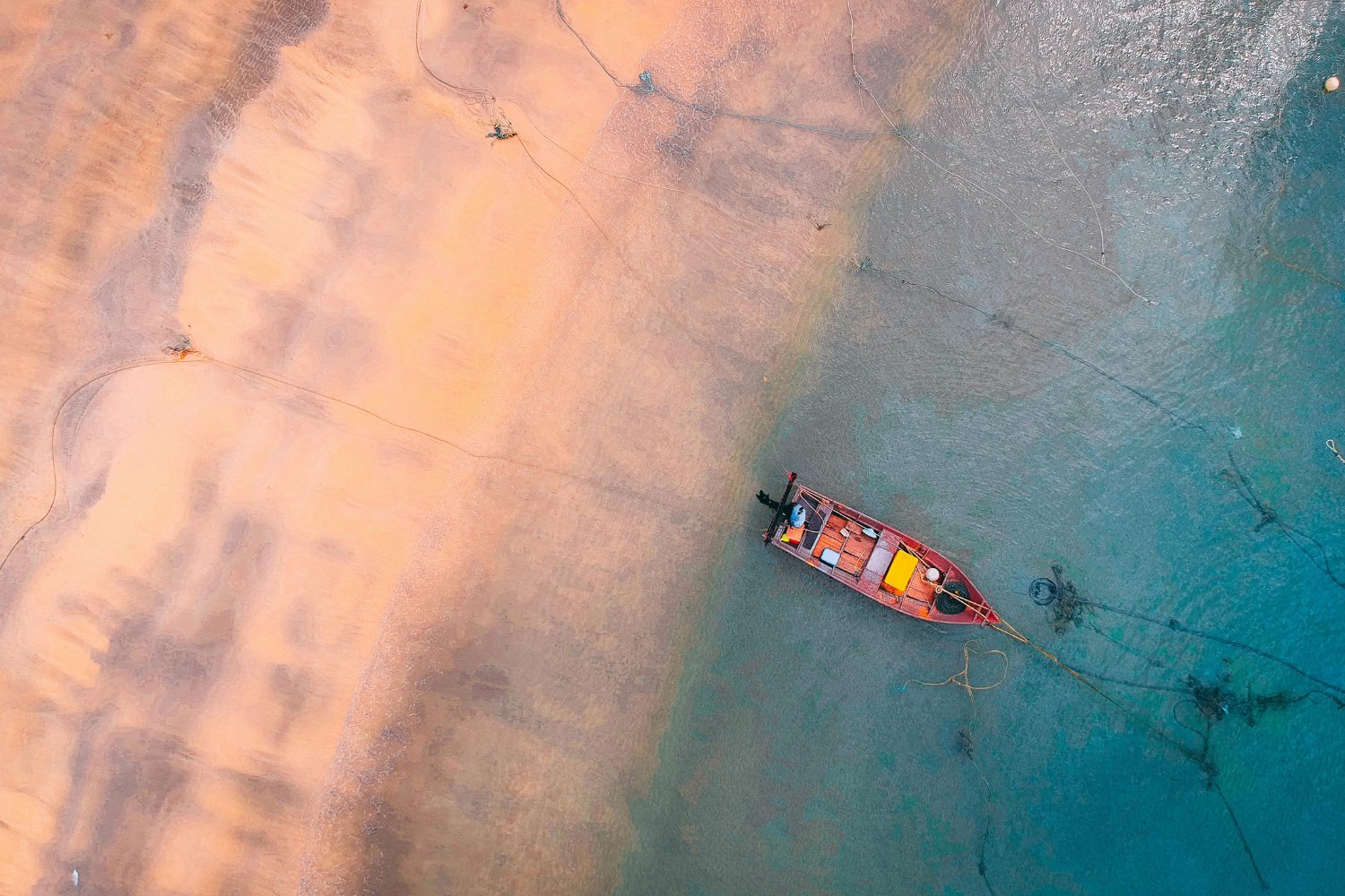 Las anclas de los barcos están devastando el fondo marino de la Antártida: el impacto oculto que casi nadie ve