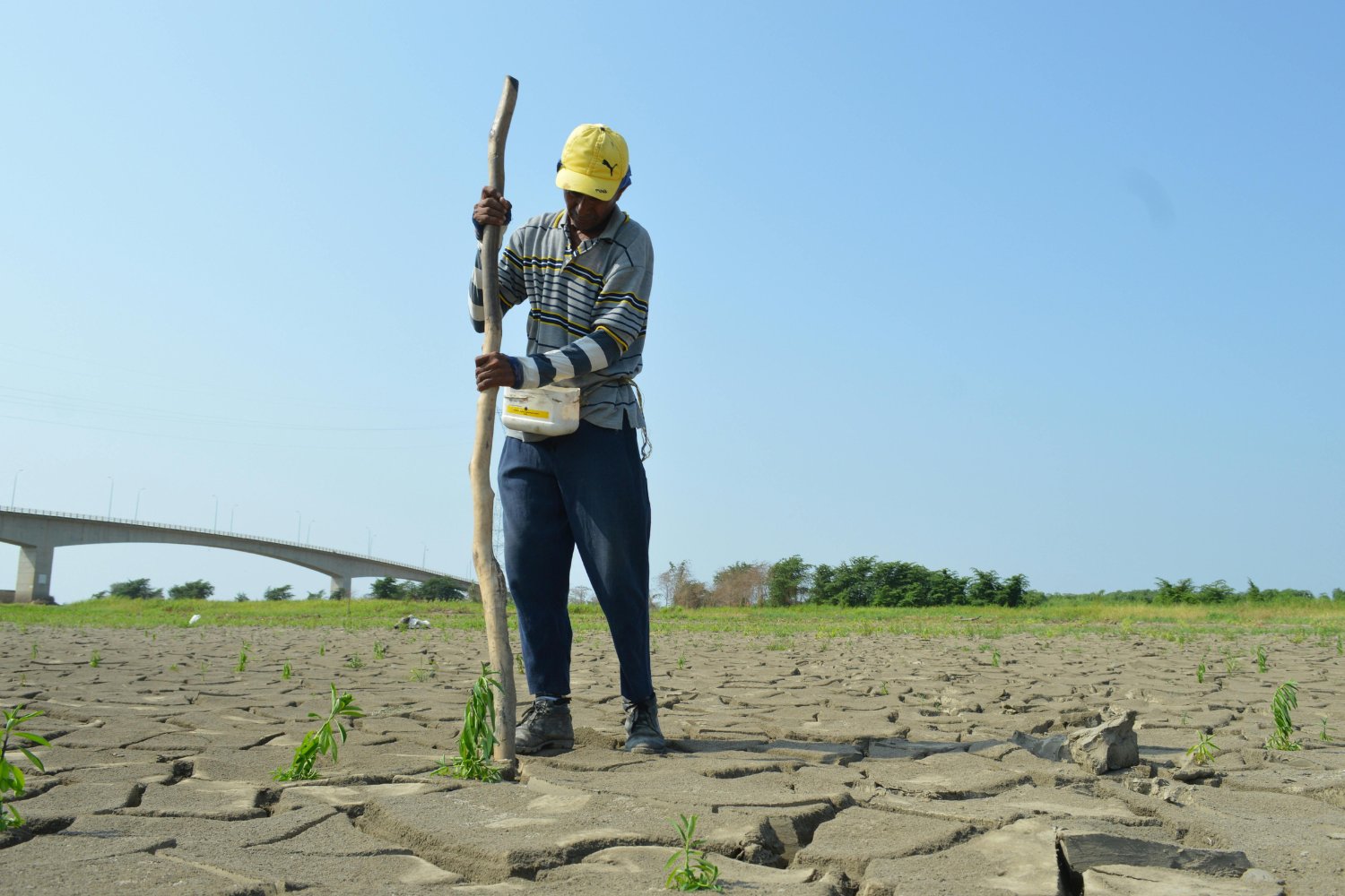 Día mundial de la desertificación: el secreto bajo tus pies que podría cambiar nuestro futuro