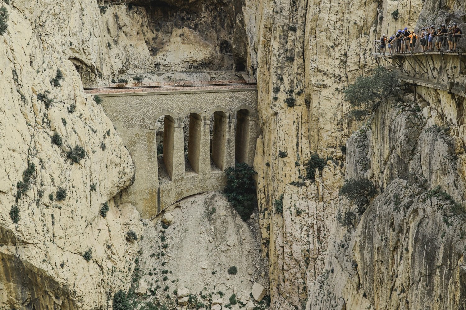 No hace falta ir a la selva: dos diminutos secretos naturales acaban de revelarse en Andalucía