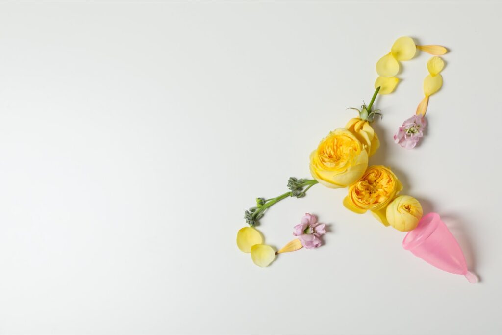 Los secretos ocultos del útero: lo que la ciencia está empezando a descubrir sobre su desarrollo y su relación con la enfermedad