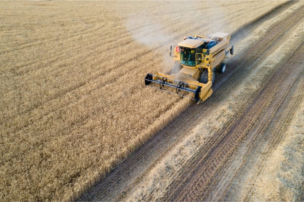 El inesperado giro de China que sacude el tablero agrícola mundial