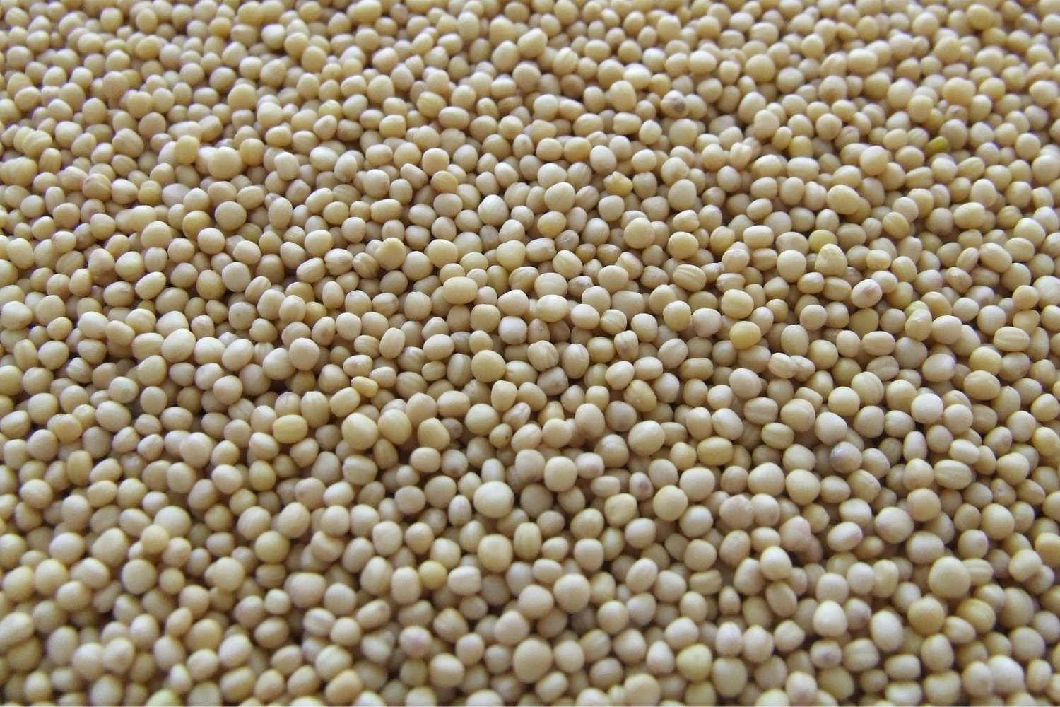El inesperado giro de China que sacude el tablero agrícola mundial