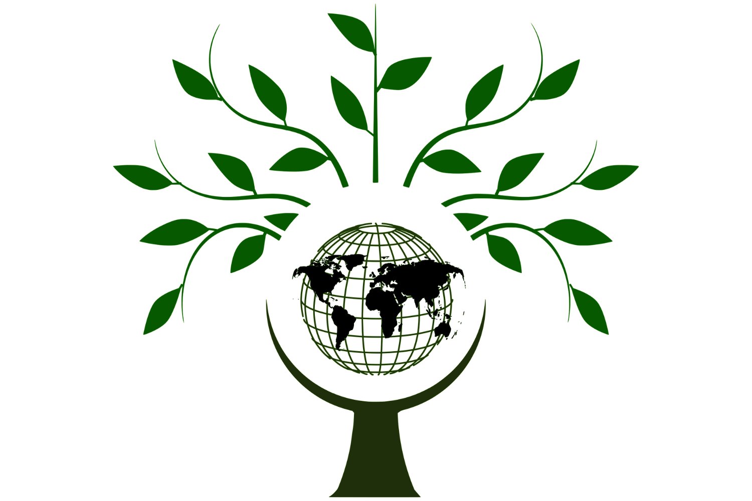 El mapa oculto que revela el secreto de la biodiversidad: un patrón invisible conecta todos los ecosistemas