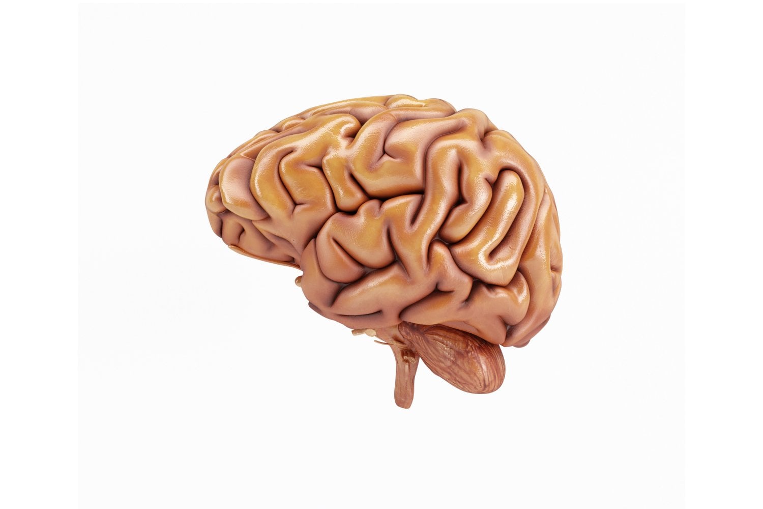 ¿Esconde la inflamación cerebral el secreto tras las conductas repetitivas? Lo que la ciencia empieza a descubrir
