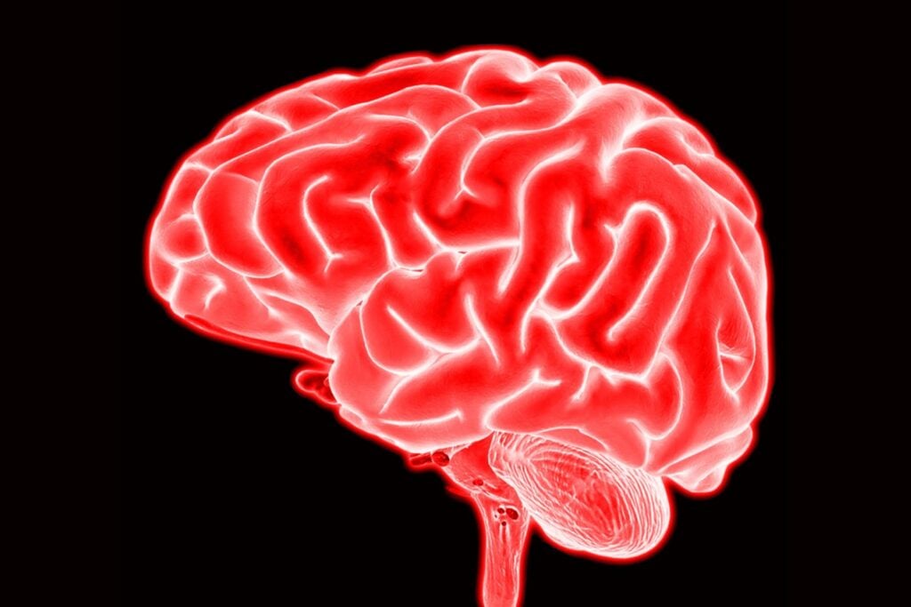Por qué caemos en la trampa: lo que tu cerebro no te cuenta sobre la desinformación