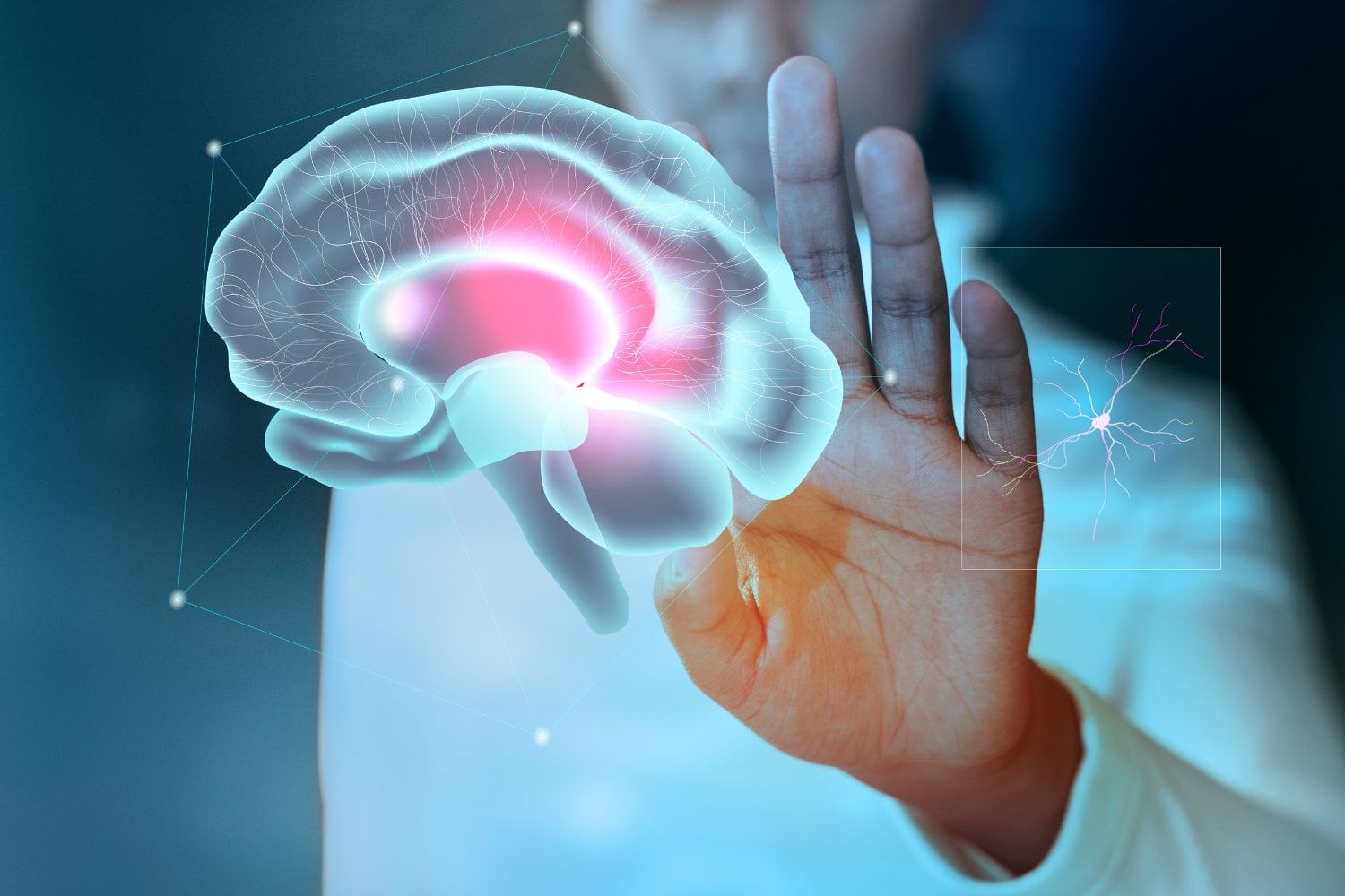 ¿Esconde la inflamación cerebral el secreto tras las conductas repetitivas? Lo que la ciencia empieza a descubrir