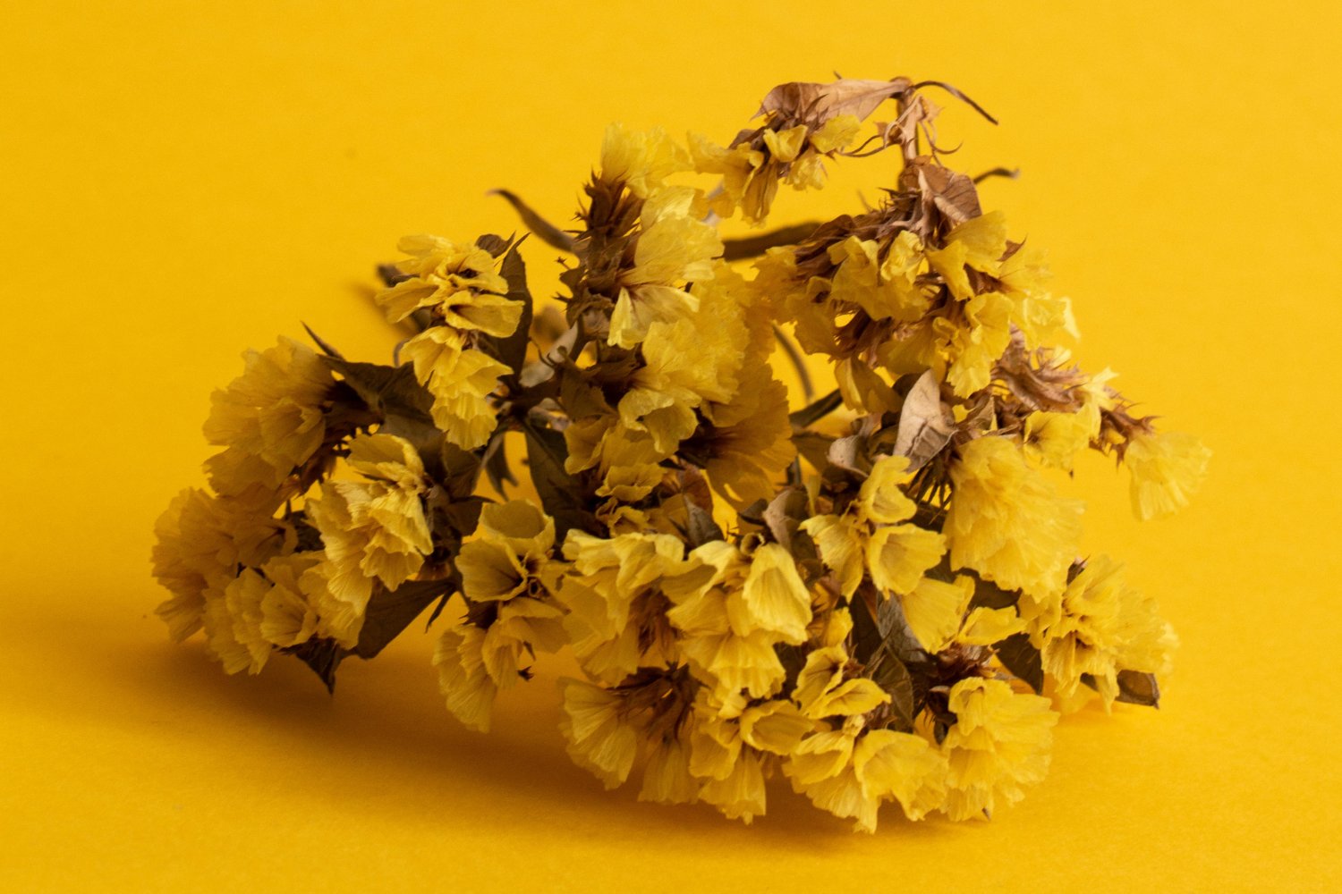 ¿Un simple número que espanta a las moscas? Lo que no te han contado sobre esta sorprendente creencia