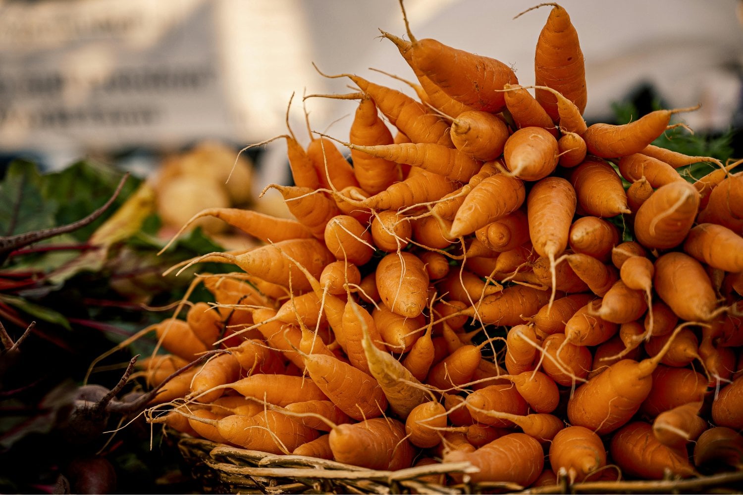 Comer zanahorias para "broncearse": el truco viral que no es lo que parece