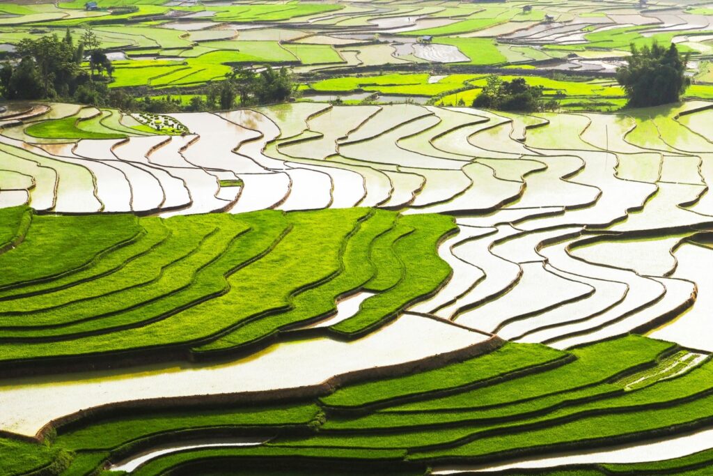 El lado oculto de los récords agrícolas: ¿y si la abundancia fuera solo un espejismo?