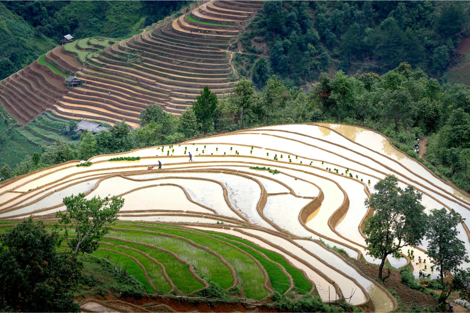 El lado oculto de los récords agrícolas: ¿y si la abundancia fuera solo un espejismo?
