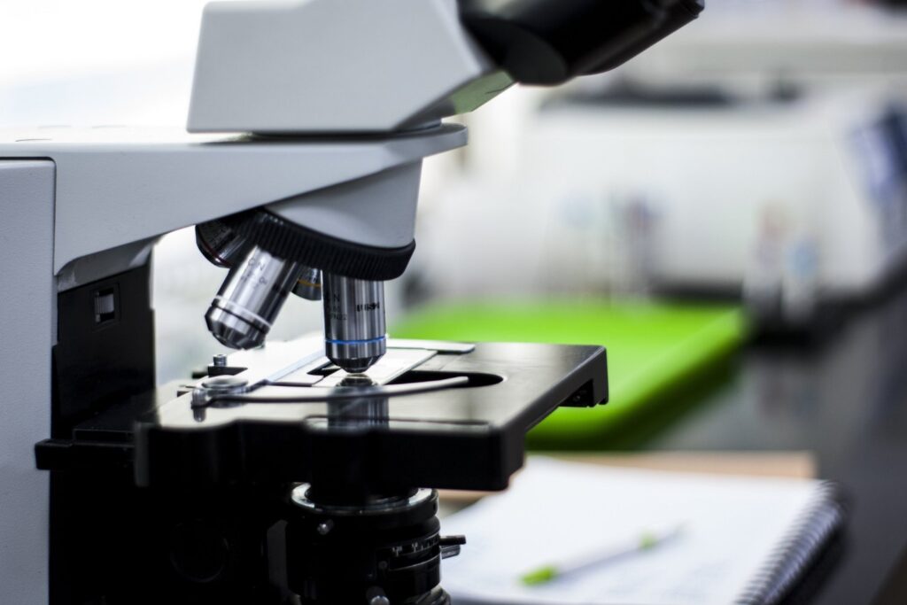 El insólito aliado contra la obesidad y la diabetes que la ciencia no esperaba