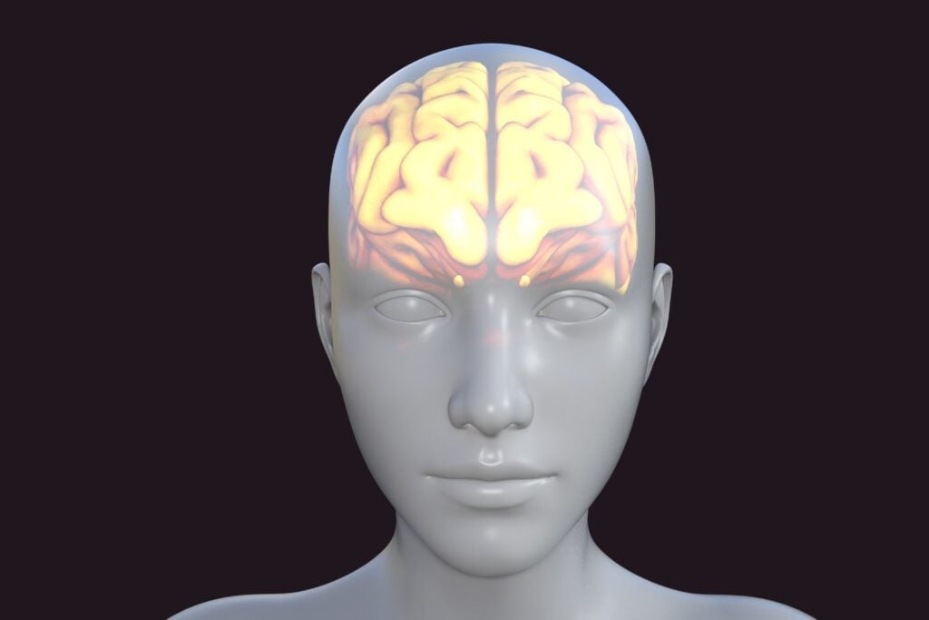 Lo que tu cerebro hace con la comida antes de que la pruebes