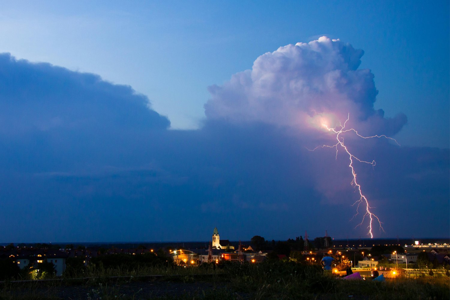 El misterioso pacto entre los árboles y los rayos: lo que la selva nunca contó