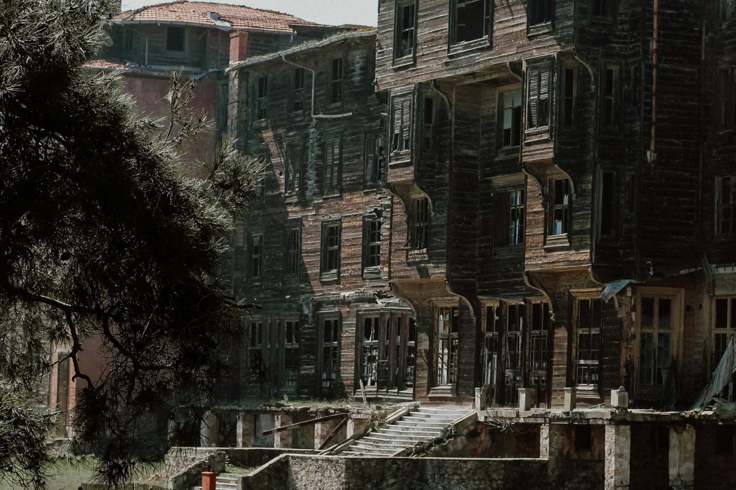 Cuando tu hogar te enferma: señales invisibles que podrían estar afectando tu salud sin que lo sepas