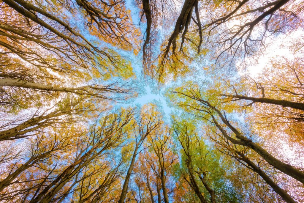 El plástico que nos rodea (y nos invade): lo que debes saber antes de que sea irreversible