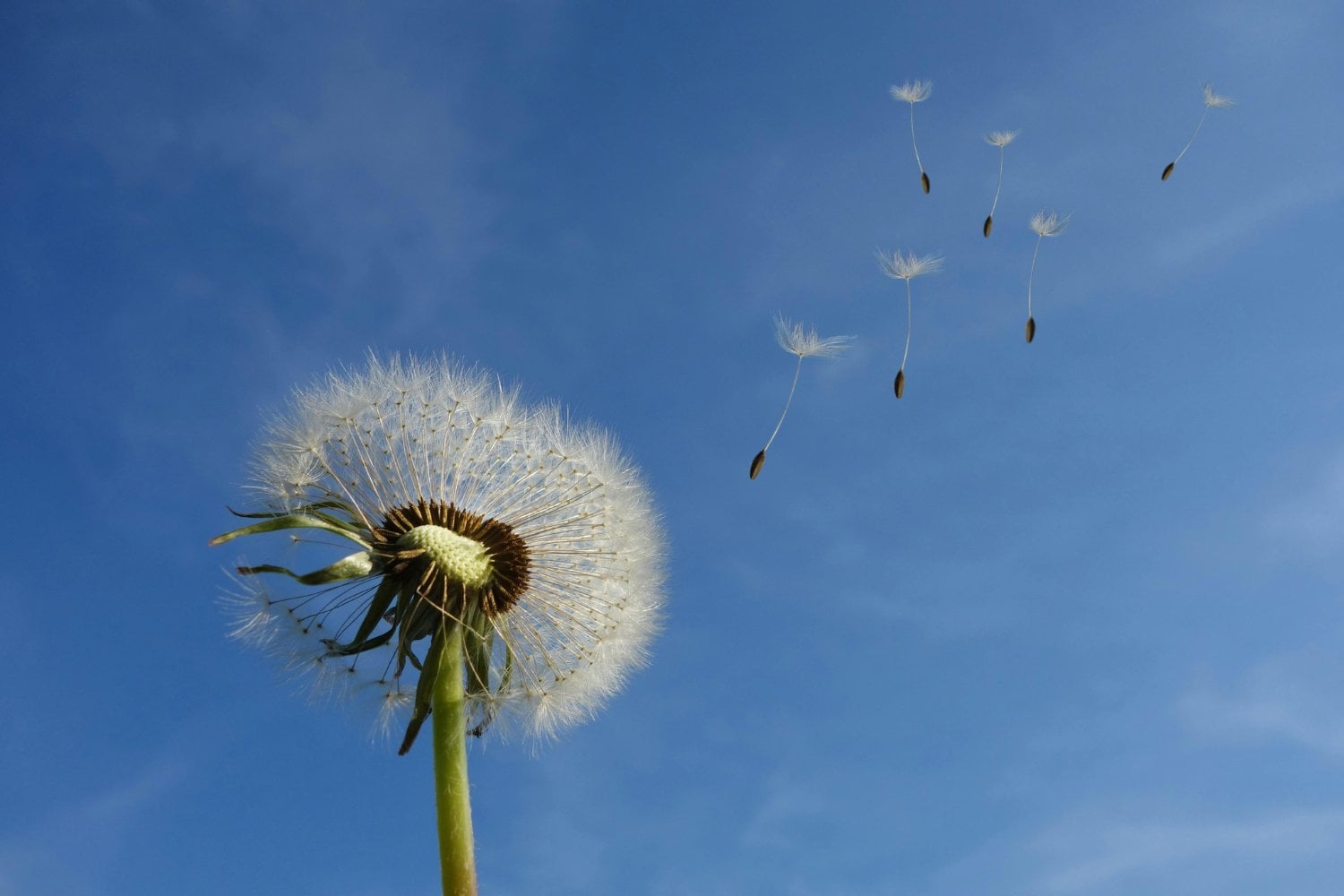 El viento que cambia el mundo: secretos de una fuerza invisible que impulsa nuestro futuro