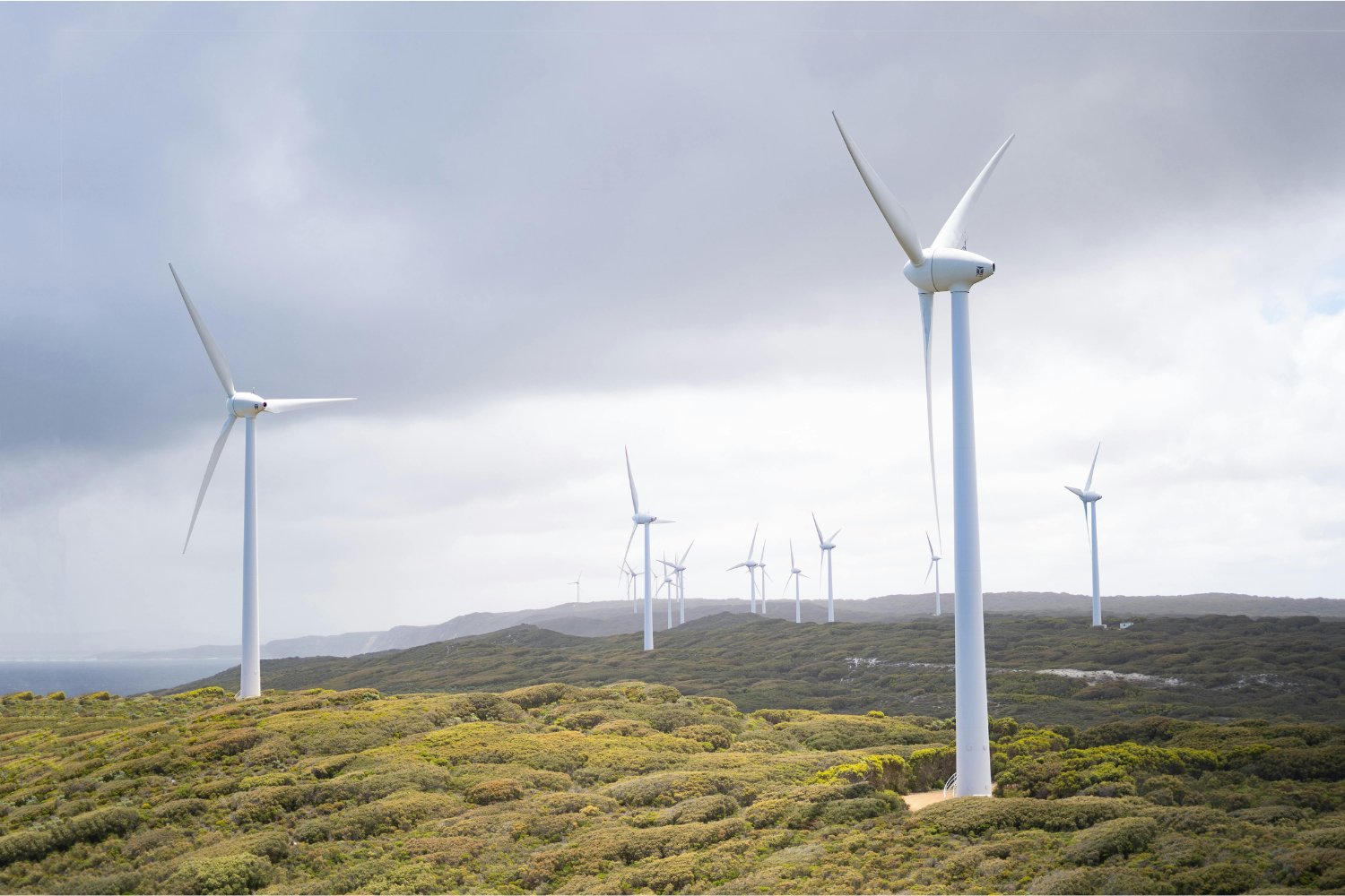 El viento que cambia el mundo: secretos de una fuerza invisible que impulsa nuestro futuro
