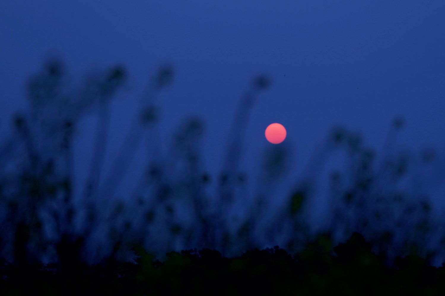 Esta luna no volverás a verla así hasta 2043: lo que ocurrirá este 10 de junio en el cielo