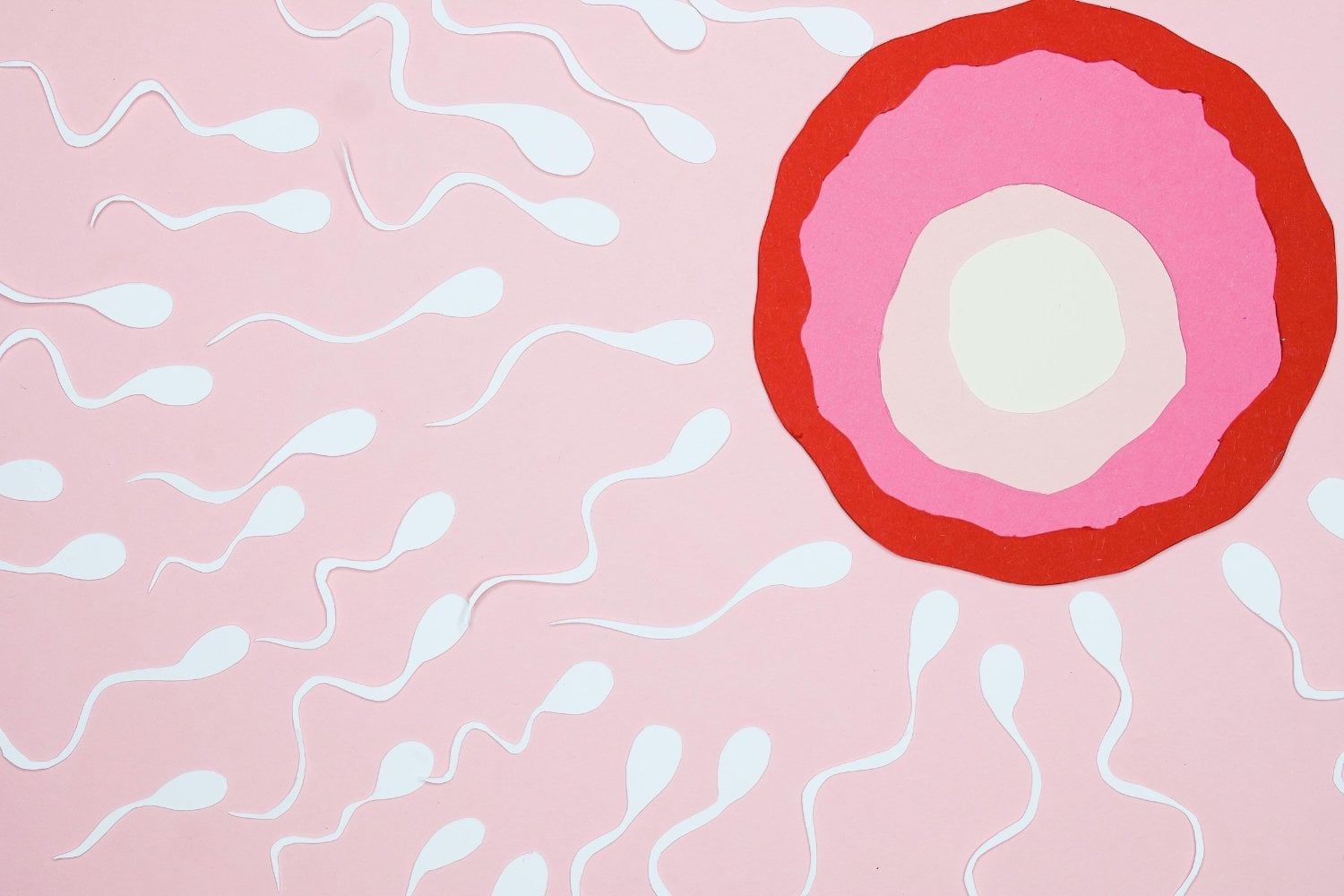 El enemigo invisible que podría estar saboteando tu fertilidad sin que lo sepas
