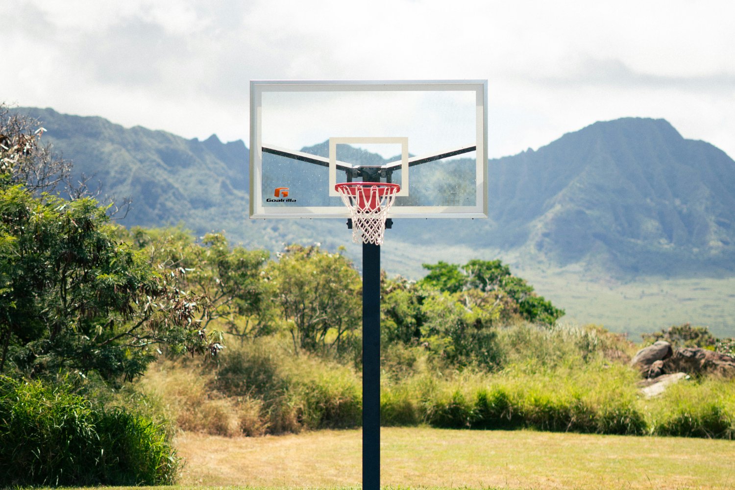 El sencillo hábito al aire libre que podría transformar tu bienestar y reducir el aislamiento
